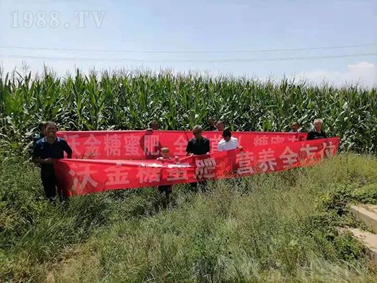     �@�����۷��r(n��ng)�YȦ������ԭ����Ȼ���ͳɱ��߷�Ч�_(k��i)��(chu��ng)����