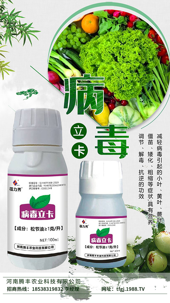     ������һ�N����ֲ�ﲡ����������Ĳ������N�(l��i)����Σ�����׵��y��������Ⱦ�߲�ֲ����(hu��)�c�߲ˠ�(zh��ng)�Z���L(zh��ng)������B(y��ng)����ͬ�r(sh��)��(hu��)Ӱ�ֲ����B(y��ng)�ւ�ݔ�����ƹ�����õ��M(j��n)��