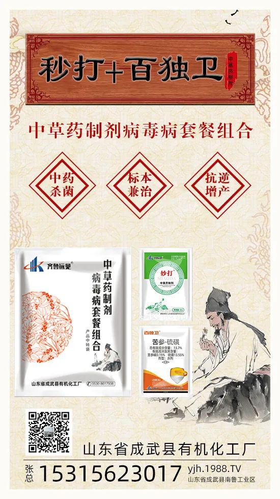 ��ֲ�ﰩ�Y-���������������������в�ˎ������������