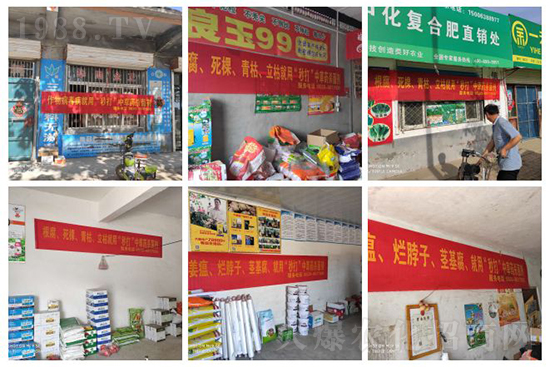 ��ֲ�ﰩ�Y-���������������������в�ˎ������������