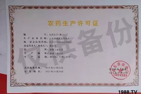 ��ֲ�ﰩ�Y-���������������������в�ˎ������������