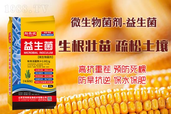 ������������Ѹ����L�ݸ�ïʢ���W(xu��)���@Щ�°빦����