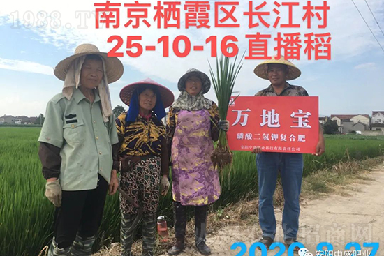 ˮ�����Y���Ì�(du��)�a(ch��n)���ж��Ӱ������M(j��n)ˮ�����Y��ô����