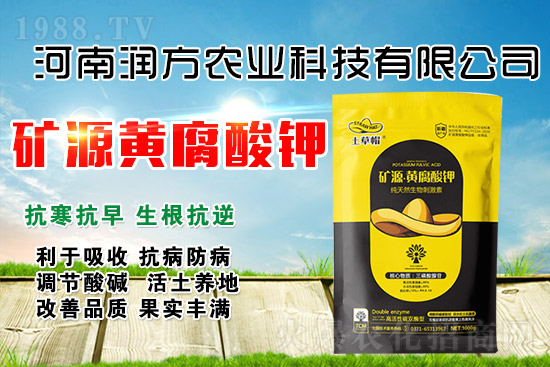 �VԴ�S����⛞�ʲôţ����ô�ò���Ч��������