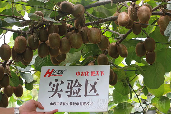 �J����������c����Щ���J����������ôʩ