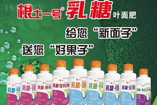 �J����������c����Щ���J����������ôʩ