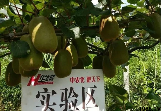 �J���Ҹ߮a(ch��n)ʩ�ʷ���