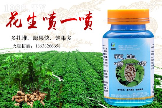 ������ (2)