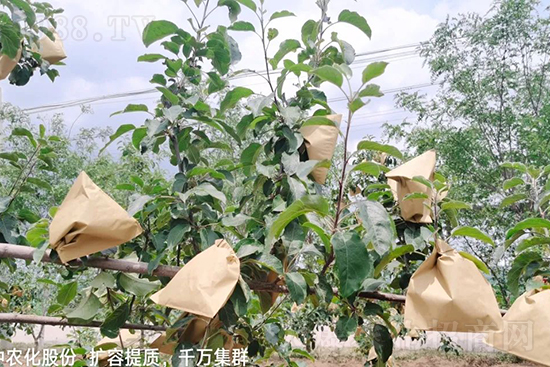     ����(sh��)�״���ɜp���r(n��ng)ˎ���������ƹ��ӵ����^Ʒ�|(zh��)���ɴ����߹�Ʒ�u(m��i)���������׳��۲��u(m��i)���߃r(ji��)�����Թ���(sh��)�״�Ŀǰ��Ȼ���҇�(gu��)���@����Ҫ�����������״��O(p��ng)��������Ǻ���Ҳ�ٲ�����