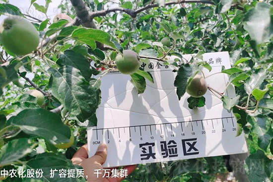     ����(sh��)�״���ɜp���r(n��ng)ˎ���������ƹ��ӵ����^Ʒ�|(zh��)���ɴ����߹�Ʒ�u(m��i)�࣬�����׳��۲��u(m��i)���߃r(ji��)�����Թ���(sh��)�״�Ŀǰ��Ȼ���҇�(gu��)���@����Ҫ�����������״��O(p��ng)��������Ǻ���Ҳ�ٲ�����