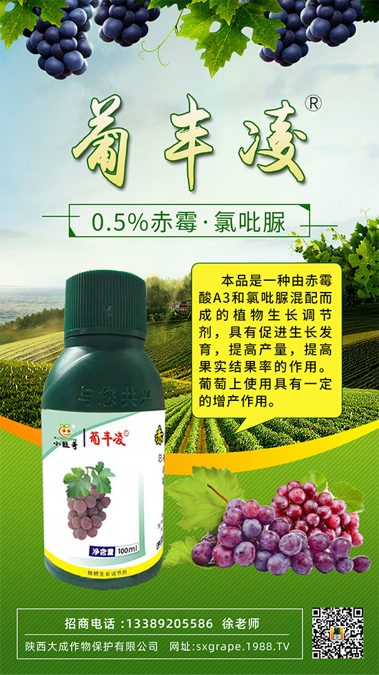 ���ѹ���ϡ�裬��С����(y��n)����ô�k���@Щ�����ஔ(d��ng)��Ҫ