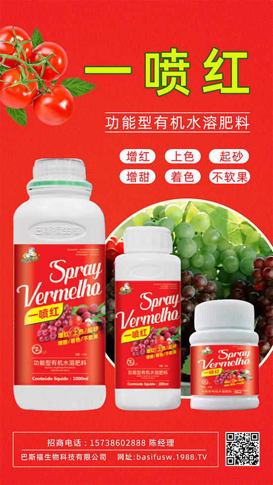 ����(sh��)�D(zhu��n)ɫ����������������������u�r(ji��)������ǰ������