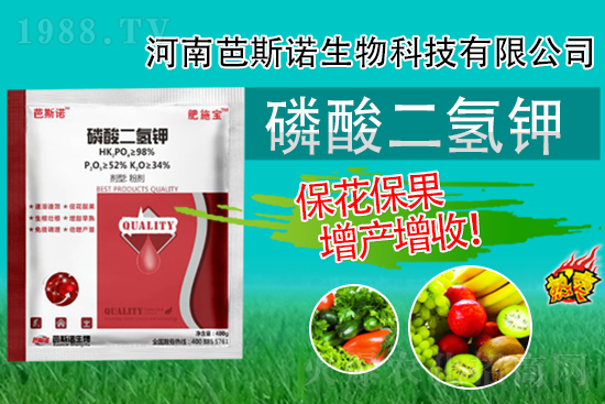 �������⛾����@�����r�g�c�ã��e�^���±�������