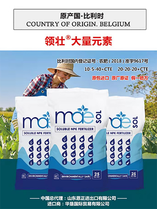 ��500�2000���߶��M(j��n)�ڷʡ��ԃr(ji��)�Ȱ�����