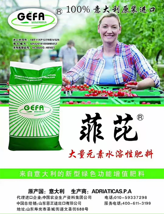 ��500�2000���߶��M(j��n)�ڷʡ��ԃr(ji��)�Ȱ�����