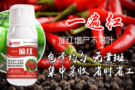 辣椒為什么要增紅？辣椒增紅上色哪個(gè)牌子好？
