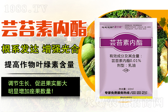 �|̦�؃�(n��i)����ɶ���Q��ֲ�����ˎ���|̦�؃�(n��i)����ô�x��