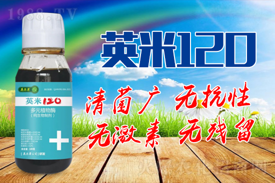 ��轰׷۲��İY����ʲô����轰׷۲����η�����