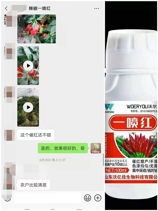 ���t�����95%���߼t�����~�����뷭�׷�����������һ���t��