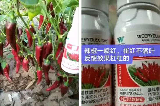 ���t�����95%���߼t�����~�����뷭�׷�����������һ���t��