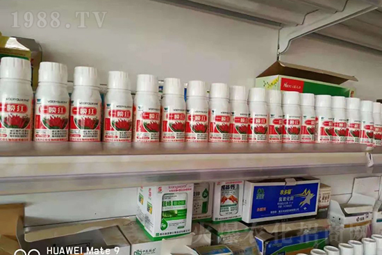 ���t�����95%���߼t�����~�����뷭�׷�����������һ���t��