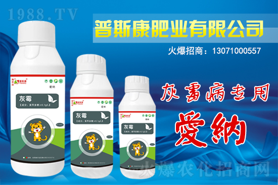 ������ԭˎ�r��