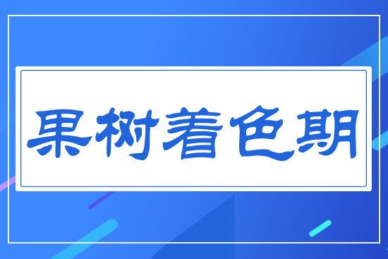 ����(sh��)��ɫ��