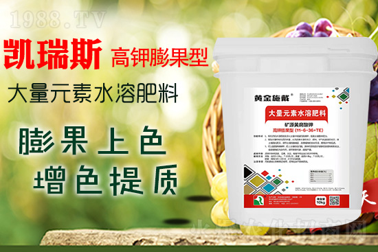     ���M(j��n)���������ɫ���@��(g��)�䷽��(zh��n)�]�e(cu��)���������|(zh��)���a(ch��n)��