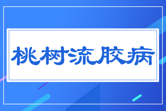 �Ҙ����z��