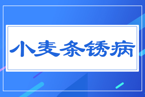 С���l�P��