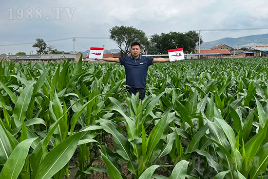 ��Դ������������I�B(y��ng)�a��ȫ����