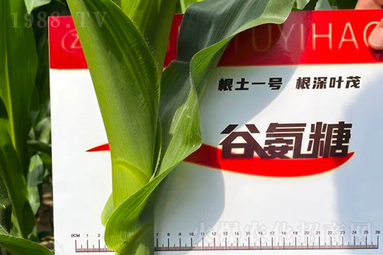 ��Դ������������I�B(y��ng)�a��ȫ����