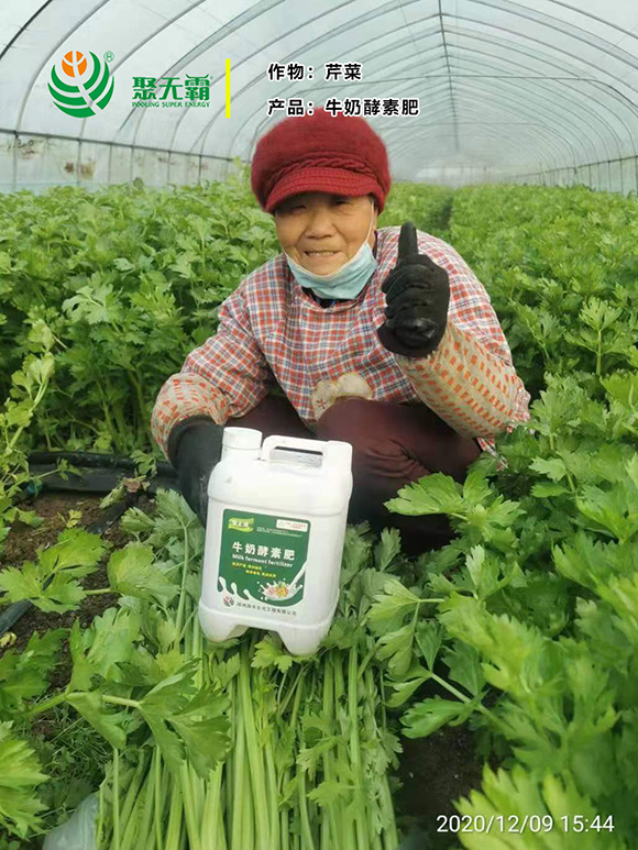 ţ�̽��ط�-�۟o(w��)��2