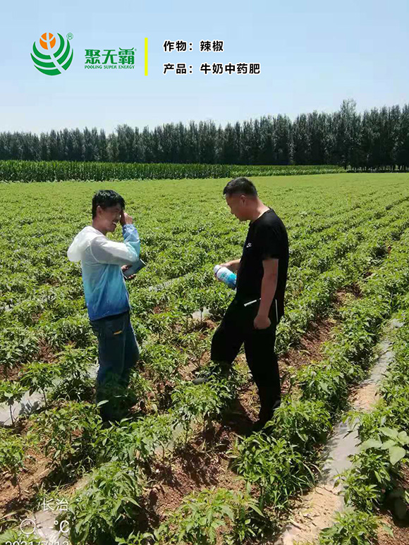 1kgţ����ˎ��-�۟o(w��)��2