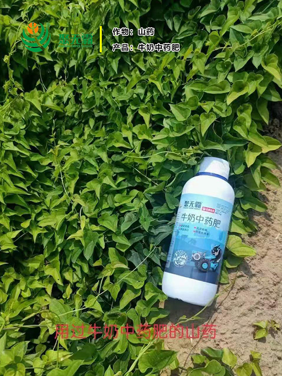 1kgţ����ˎ��-�۟o(w��)��3