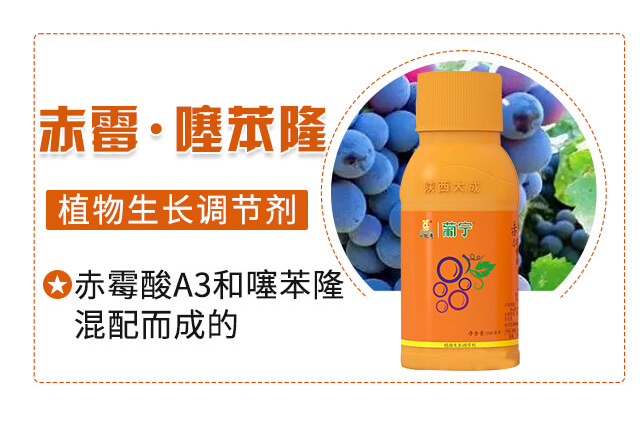 �ό�-�������_02