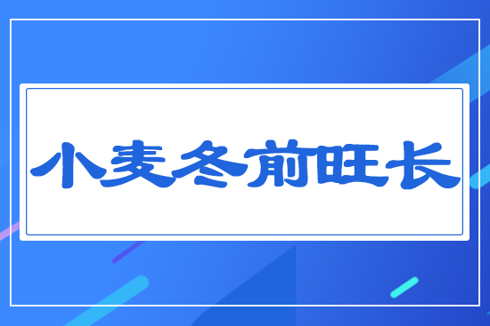 С����ǰ���L