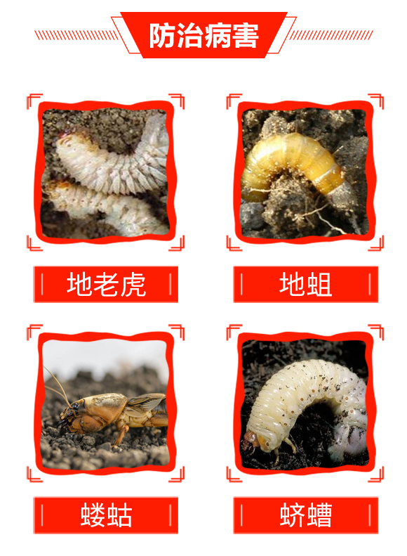 ����-��̖(h��o)�r(n��ng)�I(y��)_04