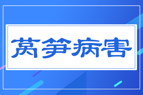 ���n�S����