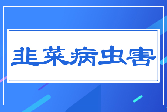 �²˲��x��