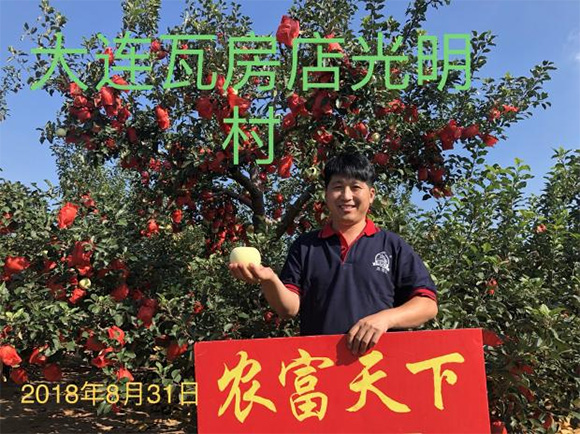 �p���ȫˮ�܏�(f��)�Ϸ���20-20-5-�r(n��ng)������4