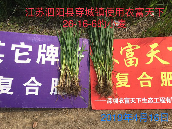 ��������������͏�(f��)�Ϸ���17-17-17-�r(n��ng)������5