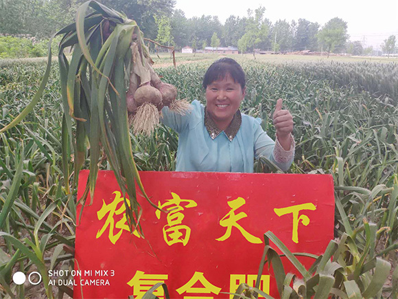 �p���ȫˮ�܏�(f��)�Ϸ���20-20-5-�r(n��ng)������6