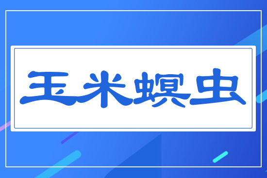 �������x(ch��ng)