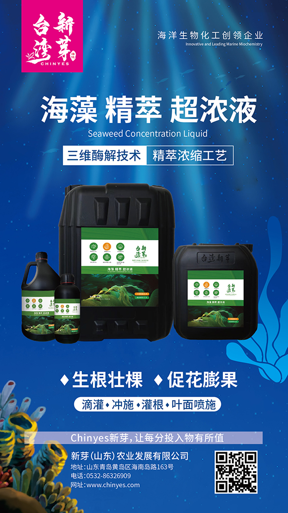 ƿ�b���徫�ͳ���Һ-�_����ѿ4