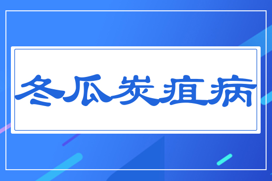 ����̿�Ҳ�