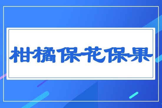 ���ٱ�������