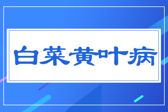 �ײ��S�~��