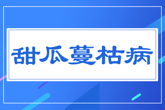 ������ݲ�