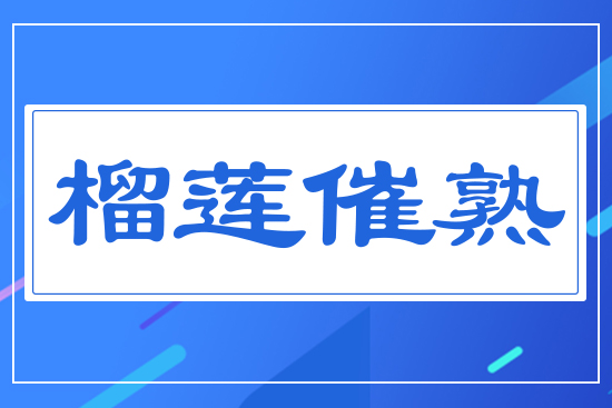 ��ɏ����